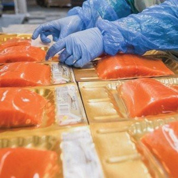 Работа и вакансии на упаковке красной рыбы в Германии