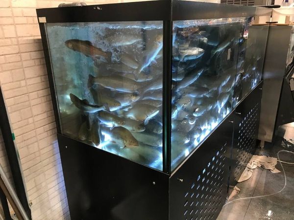 аквариум для лобстеров