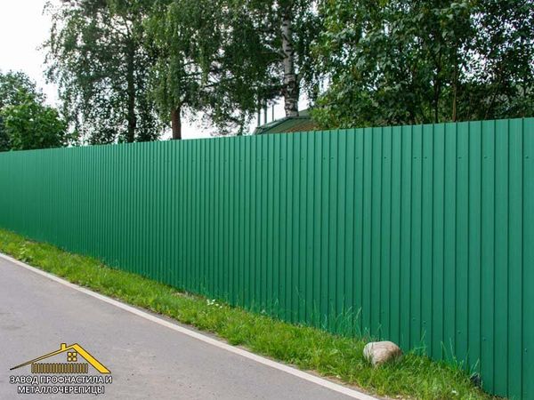 Забор из профнастила зелёного цвета, профлист зелёного цвета Ral 6005